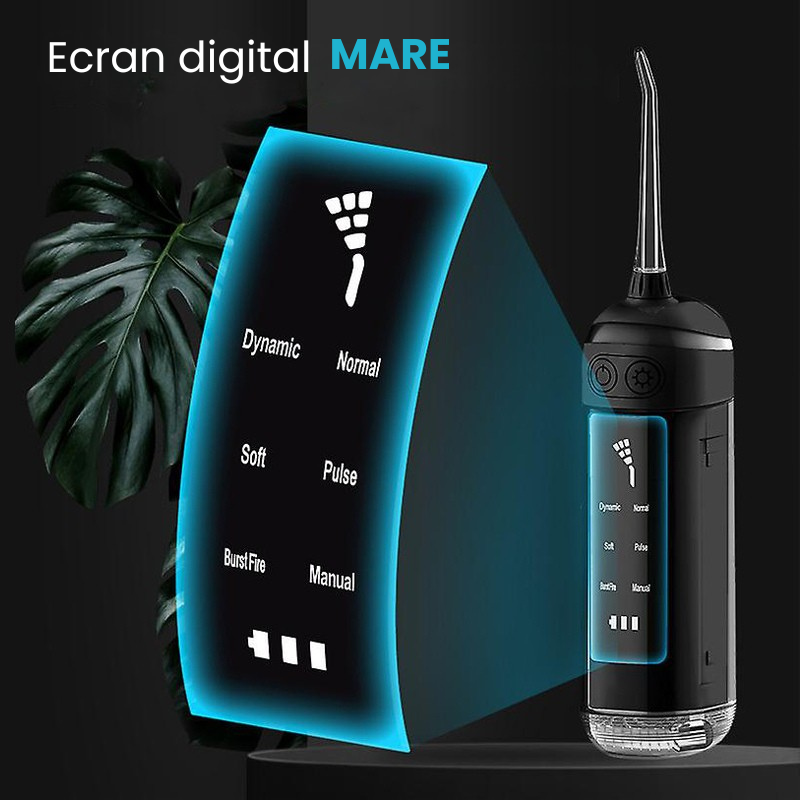 Irigator bucal L13